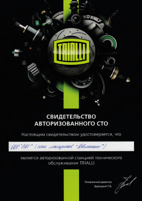 Автокомпоненты Trialli